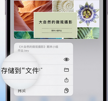 那曲apple维修中心分享iPhone文件应用中存储和找到下载文件