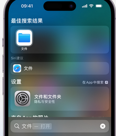 那曲apple维修中心分享iPhone文件应用中存储和找到下载文件 