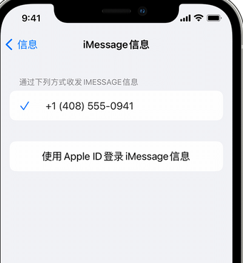 那曲apple维修iPhone上无法正常发送iMessage信息 