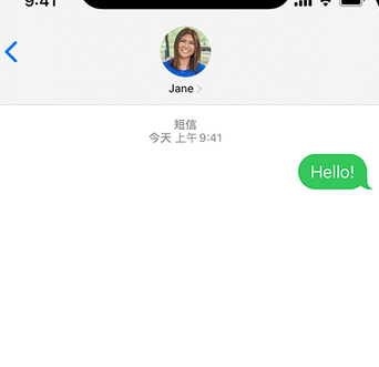 那曲apple维修iPhone上无法正常发送iMessage信息