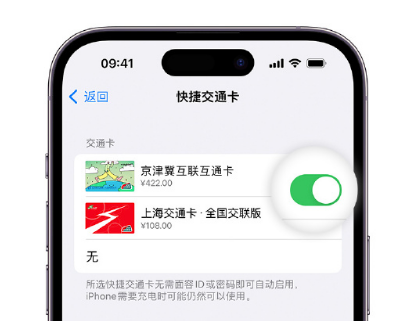 那曲apple维修点分享iPhone上更换Apple Pay快捷交通卡手绘卡面 