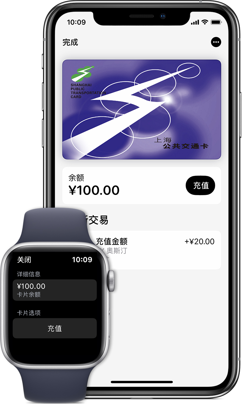 那曲苹果手机维修分享:用 Apple Pay 刷交通卡有哪些优势？如何设置和使用？ 