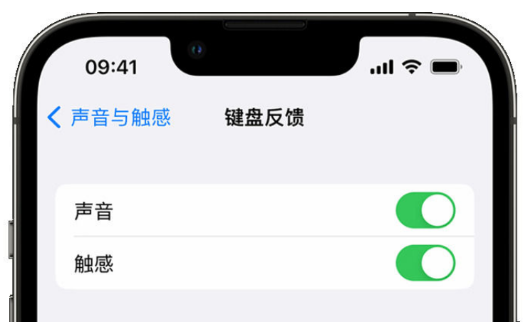 那曲苹果手机维修分享iPhone 14触感键盘使用方法 