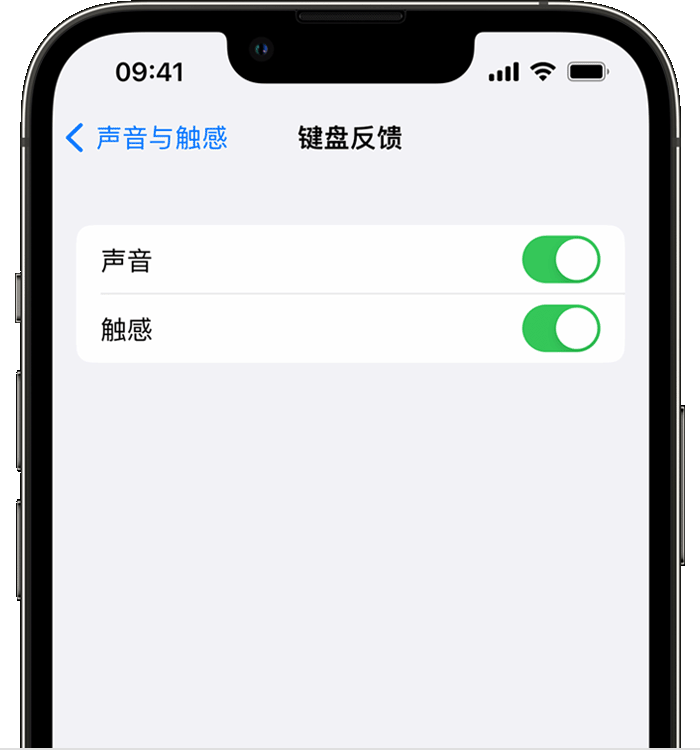 那曲苹果14维修店分享如何在 iPhone 14 机型中使用触感键盘 