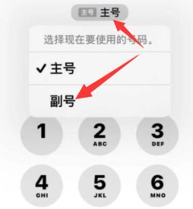 那曲苹果14维修店分享iPhone 14 Pro Max使用副卡打电话的方法 