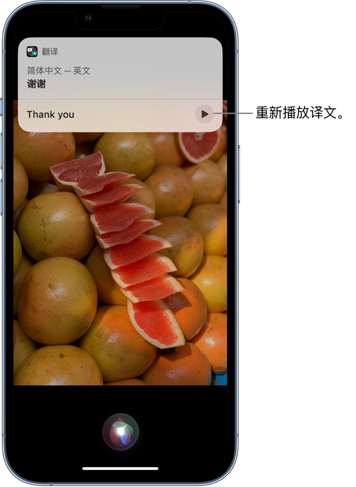 那曲苹果14维修分享 iPhone 14 机型中使用 Siri：了解 Siri 能帮你做什么 