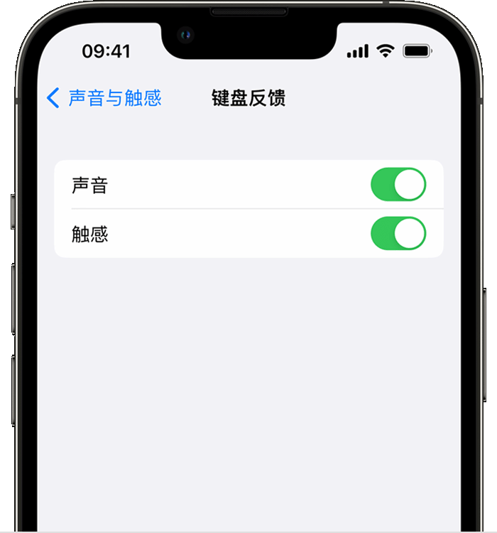 那曲苹果14维修分享iPhone 14 系列机型如何开启键盘声音或触感反馈 