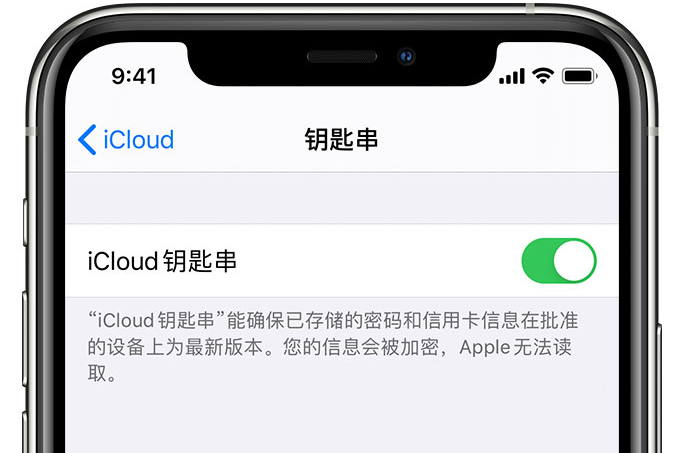 那曲苹果手机维修分享在 iPhone 上开启 iCloud 钥匙串之后会储存哪些信息 