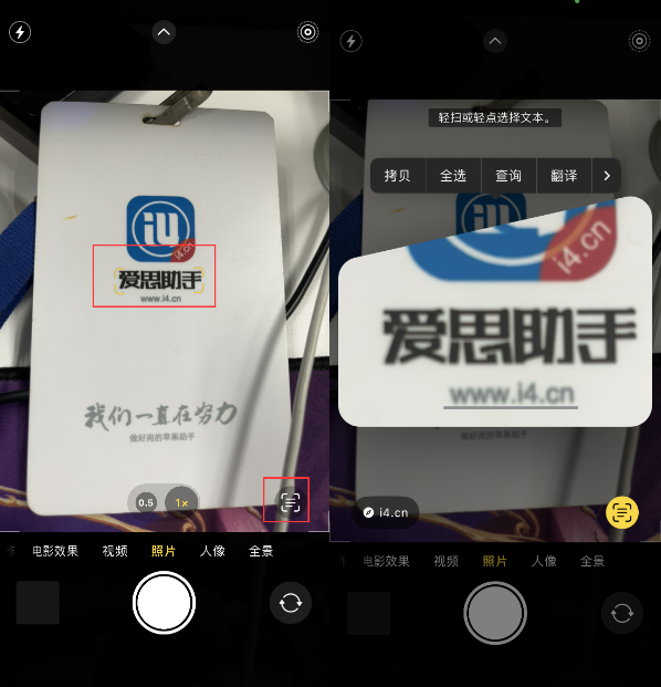 那曲苹果手机维修分享升级iOS 16后如何通过相机翻译文本 