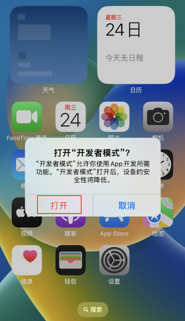 那曲苹果手机维修分享如何打开开发者模式 
