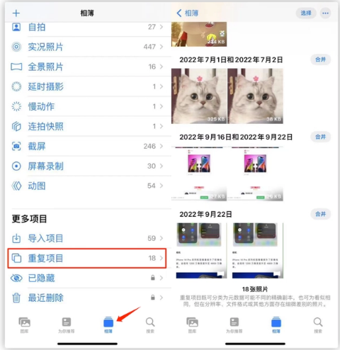 那曲苹果手机维修分享iOS 16 中相册重复项目功能使用方法 