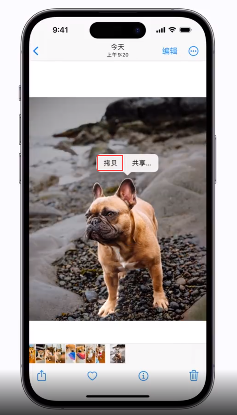 那曲苹果手机维修分享 iOS 16 自带一键抠图功能 