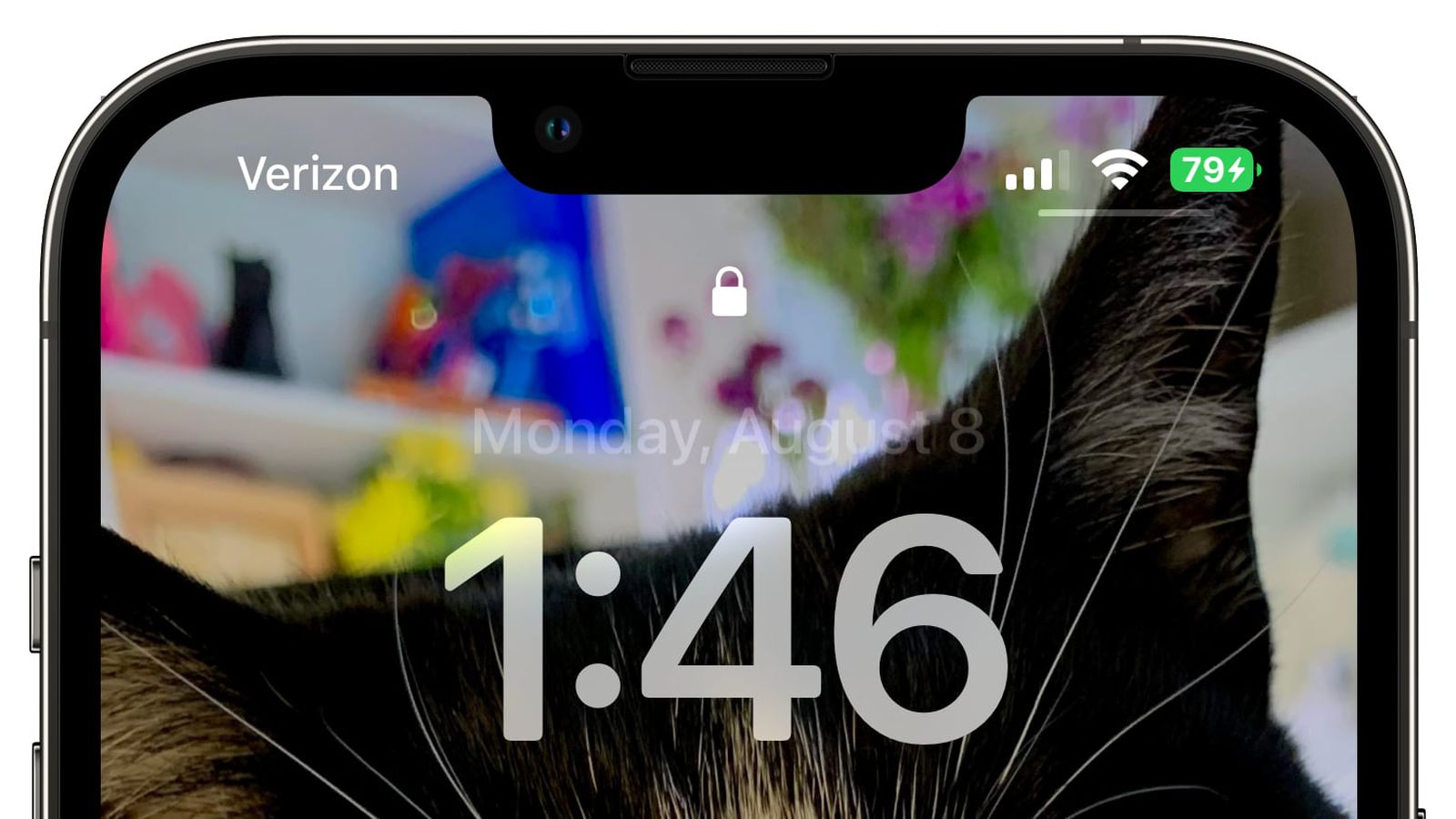 那曲苹果手机维修分享iOS 16 beta 5 支持状态栏显示电池百分比，如何开启？支持哪些机型 