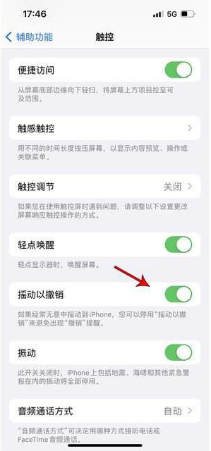 那曲苹果手机维修分享iPhone手机如何设置摇一摇删除文字 