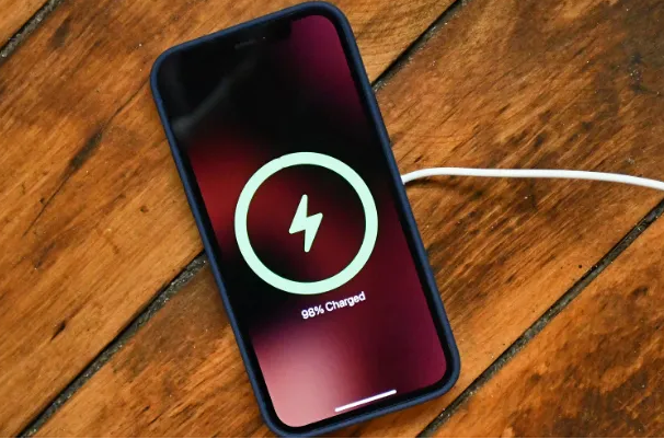 那曲苹果手机维修分享iPhone如何正确充电 