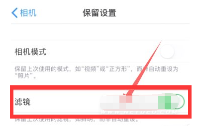那曲苹果13维修分享iPhone13拍照有绿点是怎么回事 