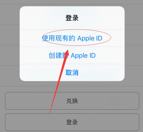 那曲苹果手机维修分享两台iPhone设备可以同时登录一个Apple ID吗 