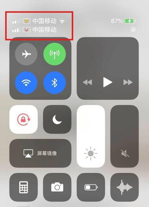 那曲苹果手机维修分享为 iPhone 12 双卡设置标签 