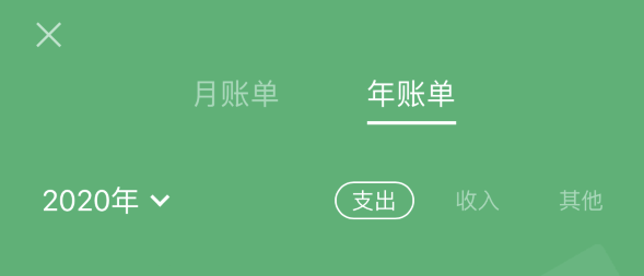 那曲苹果手机维修分享如何在 iPhone 上查看支付宝和微信年支出账单 