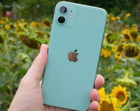 那曲苹果维修点分享iPhone 11锁屏密码认知与使用科普 