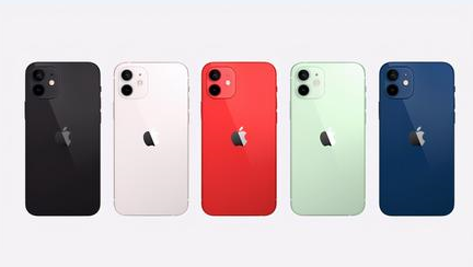 那曲苹果维修点分享iPhone 12锁屏密码系统机制科普 