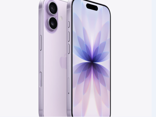 那曲苹果维修点分享iPhone 17锁屏密码使用参考 